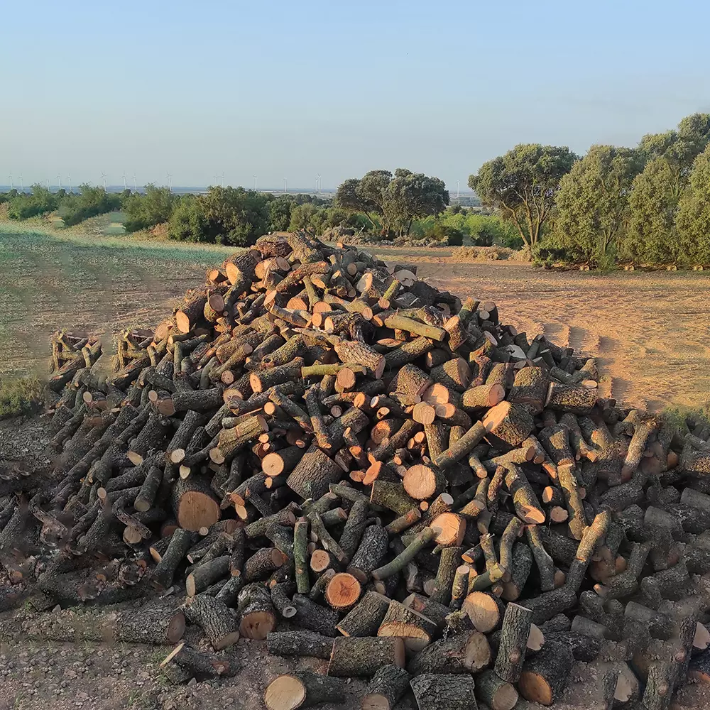 Leña de Encina de Cuenca