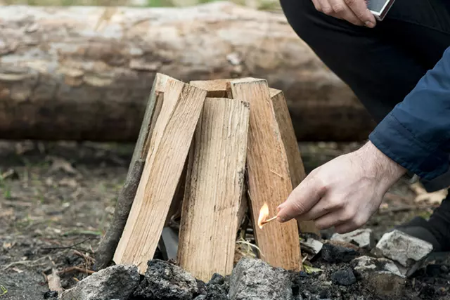 Leña seca y lista para usar