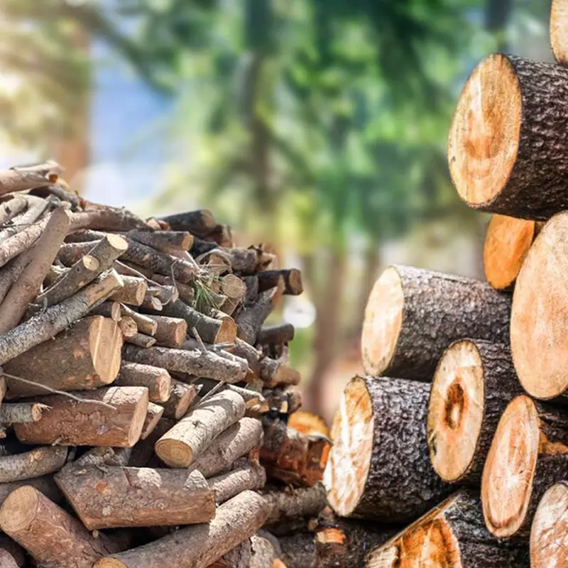 Leña de Pino de Cuenca